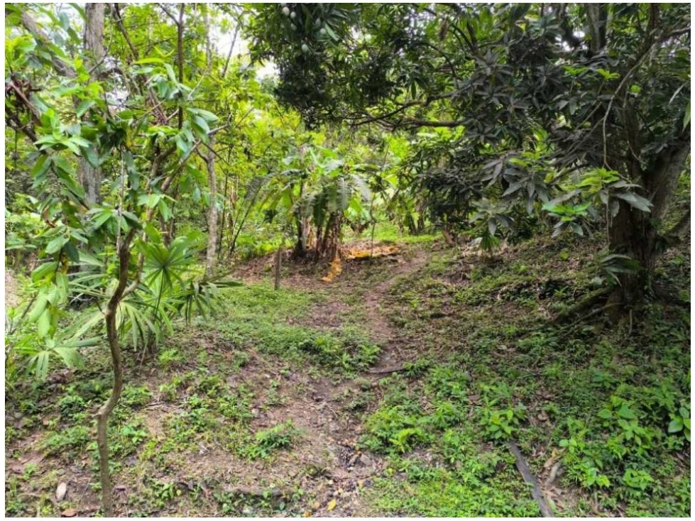 Lote en venta en Calabazo, Santa Marta, 80 m² · foto 9 de 15