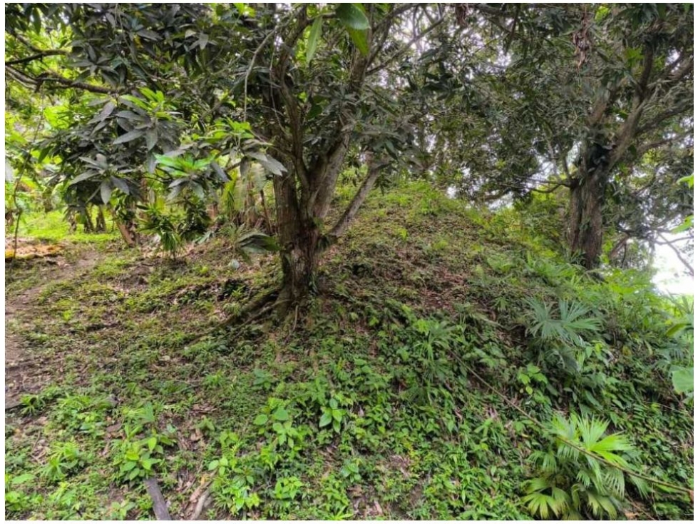 Lote en venta en Calabazo, Santa Marta, 80 m² · foto 10 de 15