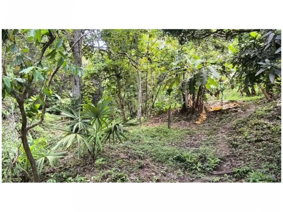 Lote en venta en Calabazo, Santa Marta, 80 m² · foto 13 de 15