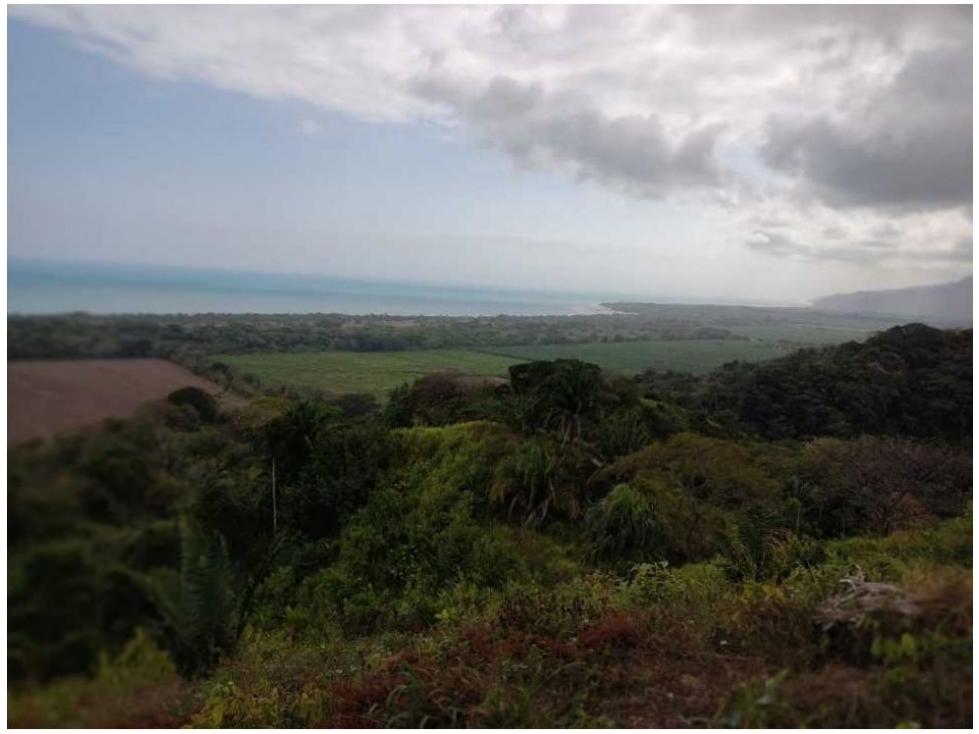 Lote en venta en Calabazo, Santa Marta, 80 m² · foto 14 de 15