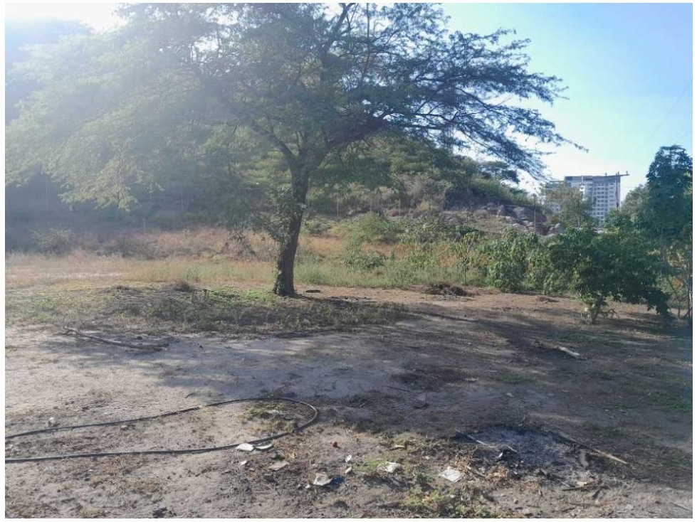 Lote en venta en Salguero, Santa Marta, 80 m² · foto 9 de 9