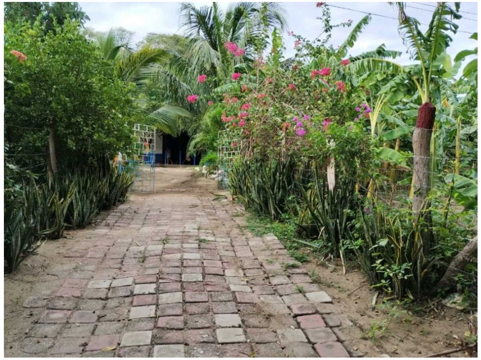 Finca en venta en Corregimiento De Bonda, Santa Marta, 120 m² · foto 3 de 12