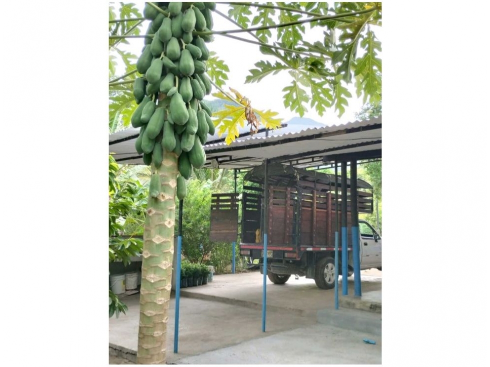 Finca en venta en Corregimiento De Bonda, Santa Marta, 120 m² · foto 5 de 12