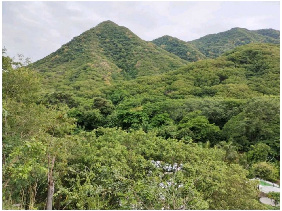 Finca en venta en Corregimiento De Bonda, Santa Marta, 120 m² · foto 12 de 12
