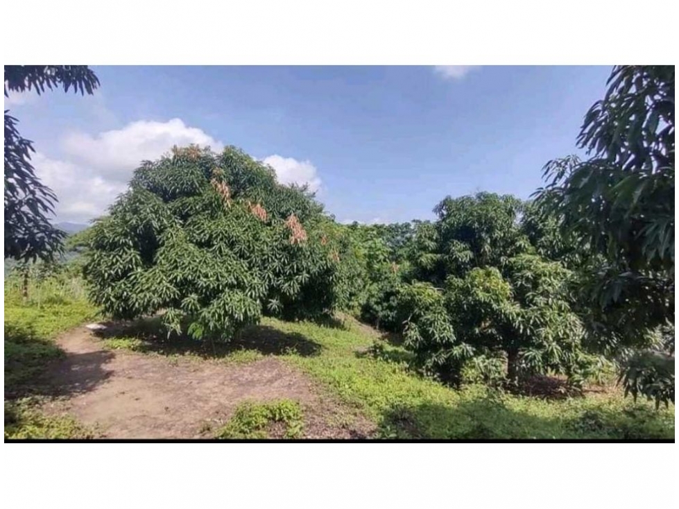 Finca en venta en Corregimiento De Minca, Santa Marta, 60 m² · foto 2 de 14