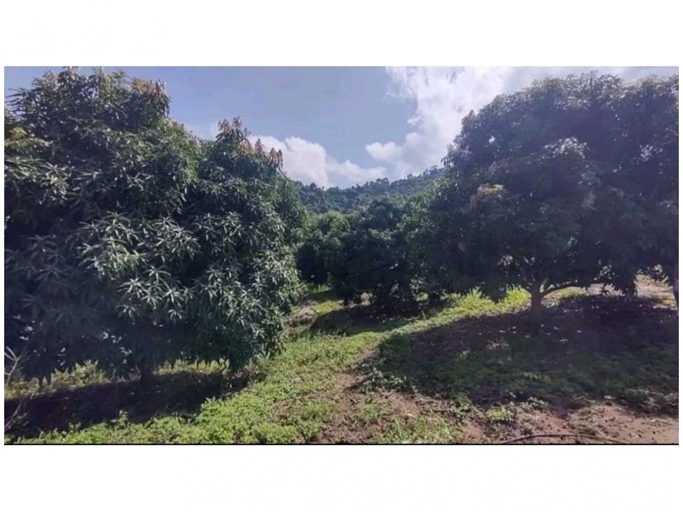 Finca en venta en Corregimiento De Minca, Santa Marta, 60 m² · foto 4 de 14