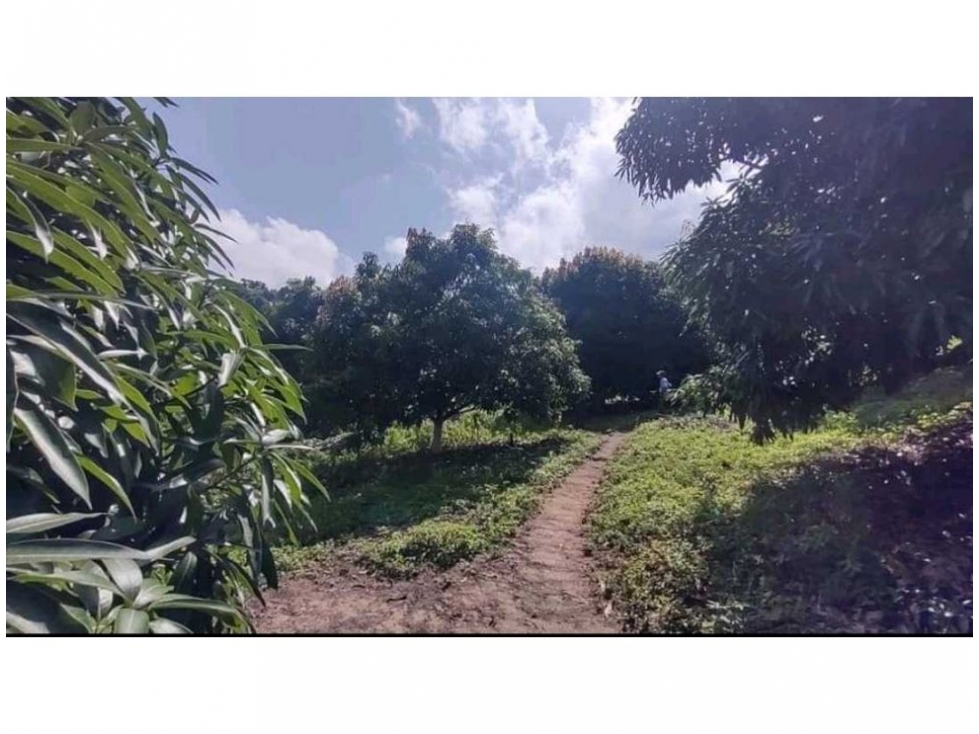 Finca en venta en Corregimiento De Minca, Santa Marta, 60 m² · foto 5 de 14