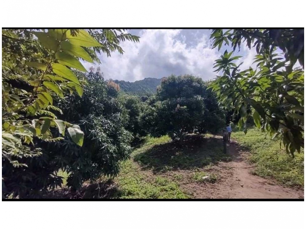 Finca en venta en Corregimiento De Minca, Santa Marta, 60 m² · foto 6 de 14