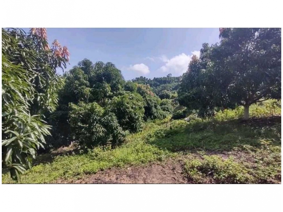 Finca en venta en Corregimiento De Minca, Santa Marta, 60 m² · foto 7 de 14