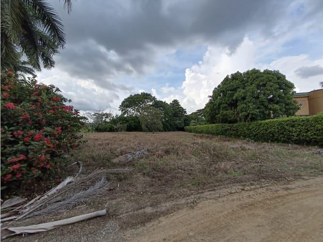 Lote en venta en Bosques De Sevilla, Montería, 1751 m² · foto 2 de 6
