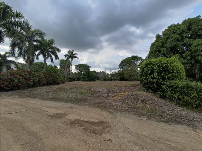 Lote en venta en Bosques De Sevilla, Montería, 1751 m² · foto 4 de 6