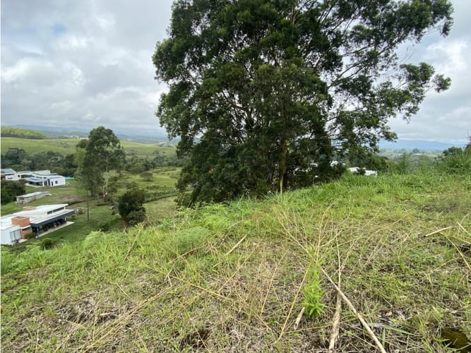 Lote en venta en El Manzano, Pereira, 2816 m² · foto 3 de 4
