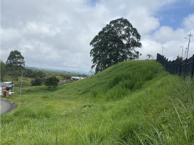 Lote en venta en El Manzano, Pereira, 2816 m² · foto 4 de 4