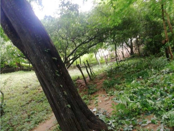 Lote en venta en Bonda, Santa Marta, 15752 m² · foto 3 de 7