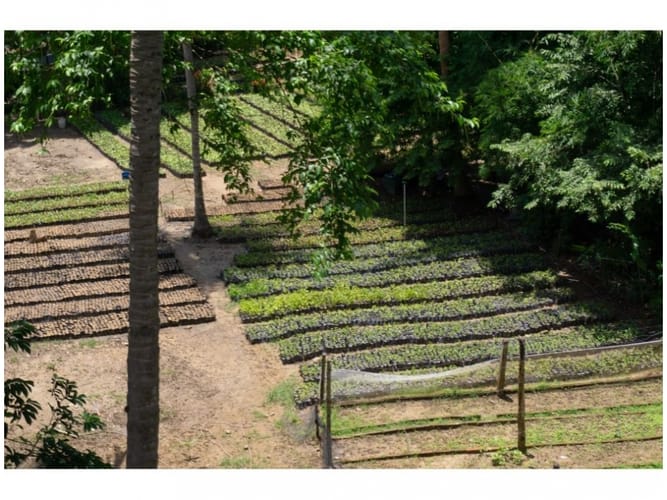 Finca en venta en Calabazo, Santa Marta · foto 22 de 24