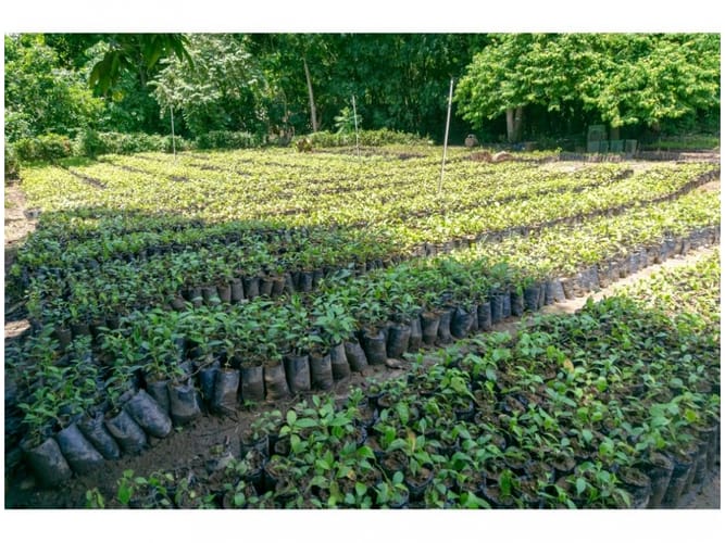 Finca en venta en Calabazo, Santa Marta · foto 23 de 24