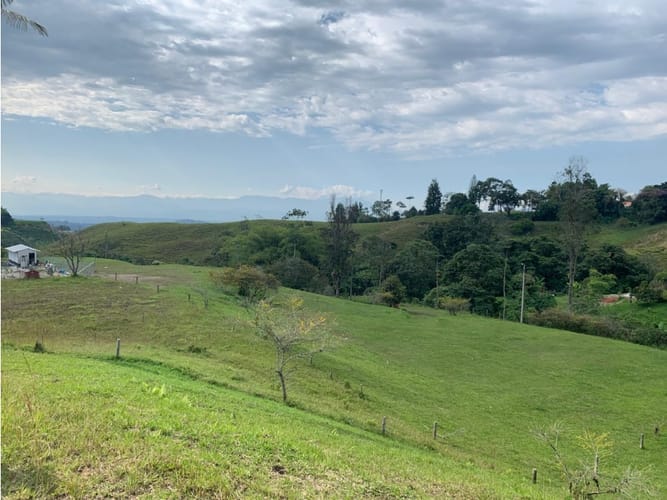 Lote en venta en Condina, Pereira, 3466 m² · foto 2 de 7