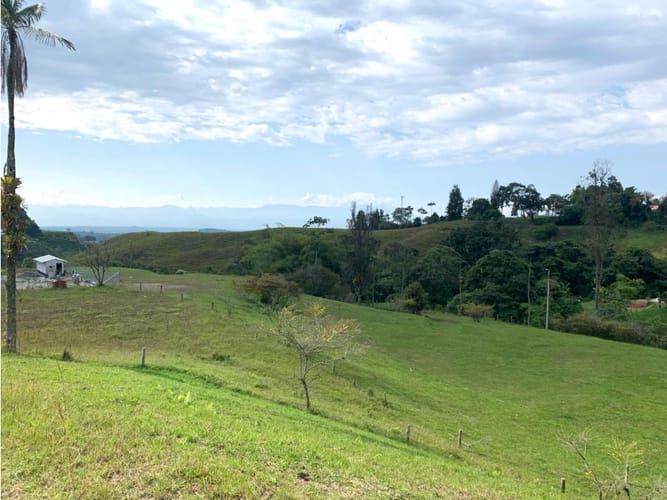 Lote en venta en Condina, Pereira, 3466 m² · foto 3 de 7