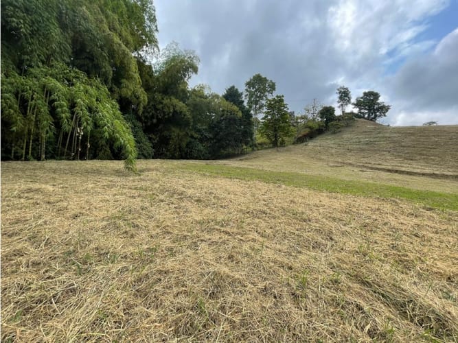 Lote en venta en Condina, Pereira, 3466 m² · foto 6 de 7