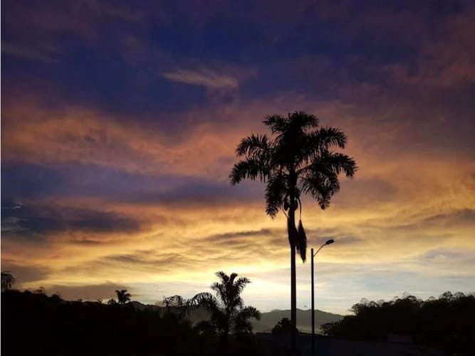 Lote en venta en Cerritos, Pereira, 1517 m² · foto 4 de 6