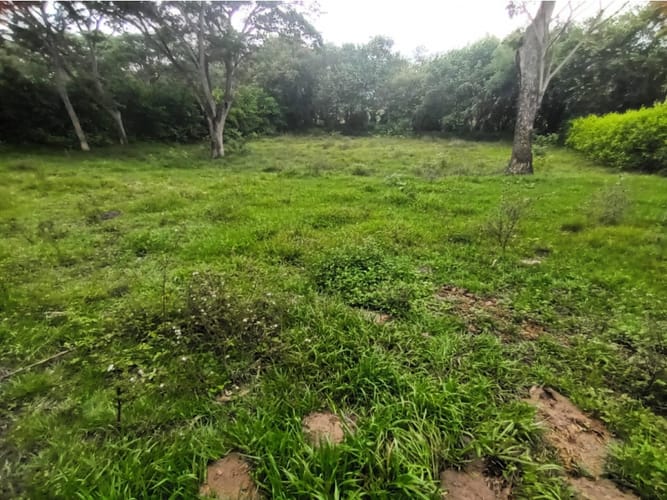 Lote en venta en Santa Ana, Cartagena, 1983 m² · foto 3 de 4