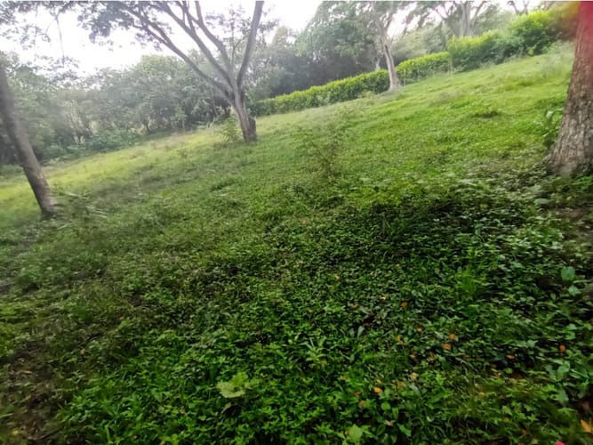 Lote en venta en Santa Ana, Cartagena, 1983 m² · foto 4 de 4