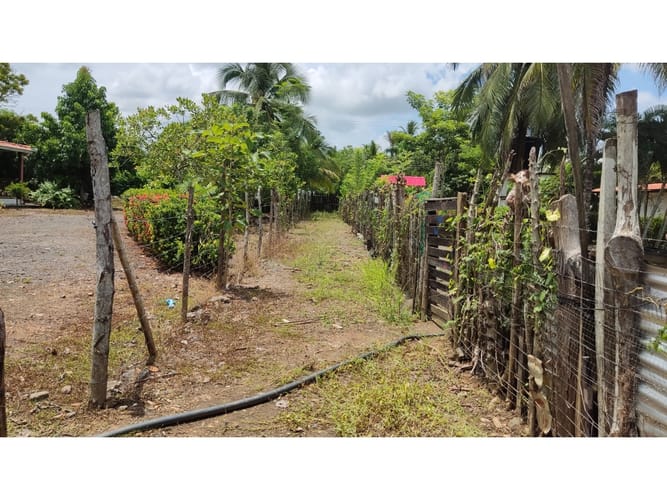 Lote en venta en Boca De La Ceiba, Montería, 5499 m² · foto 3 de 14