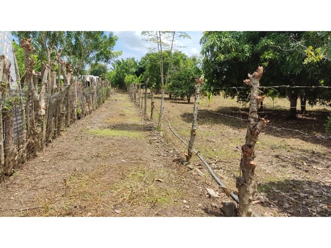 Lote en venta en Boca De La Ceiba, Montería, 5499 m² · foto 4 de 14
