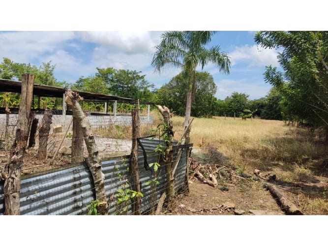 Lote en venta en Boca De La Ceiba, Montería, 5499 m² · foto 5 de 14