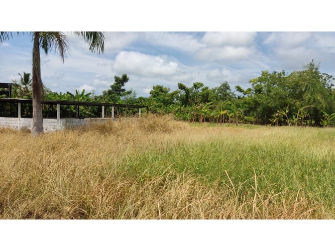 Lote en venta en Boca De La Ceiba, Montería, 5499 m² · foto 6 de 14