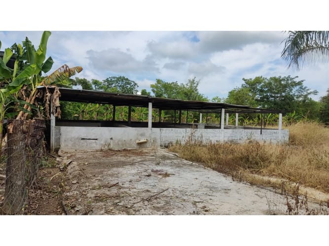 Lote en venta en Boca De La Ceiba, Montería, 5499 m² · foto 7 de 14