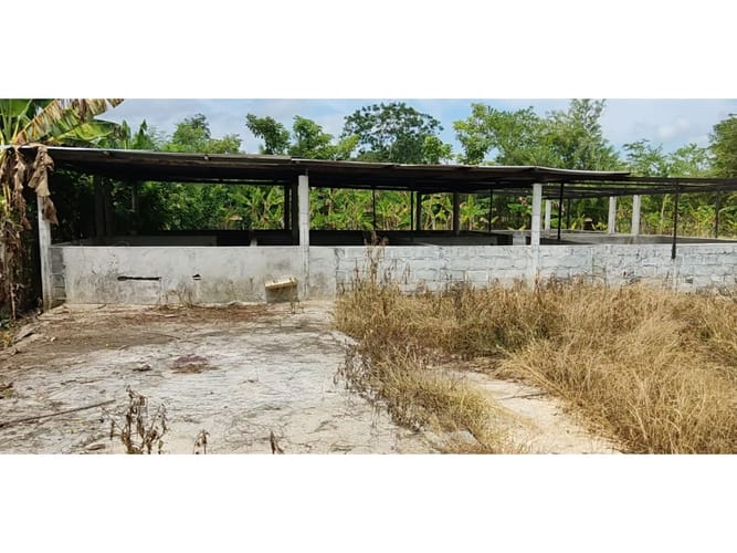 Lote en venta en Boca De La Ceiba, Montería, 5499 m² · foto 8 de 14