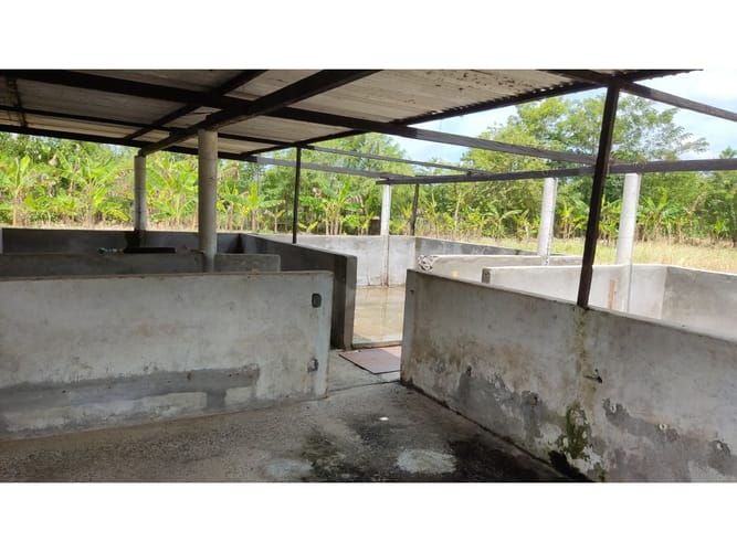 Lote en venta en Boca De La Ceiba, Montería, 5499 m² · foto 10 de 14