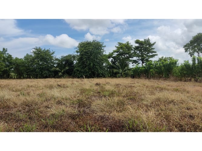 Lote en venta en Boca De La Ceiba, Montería, 5499 m² · foto 11 de 14