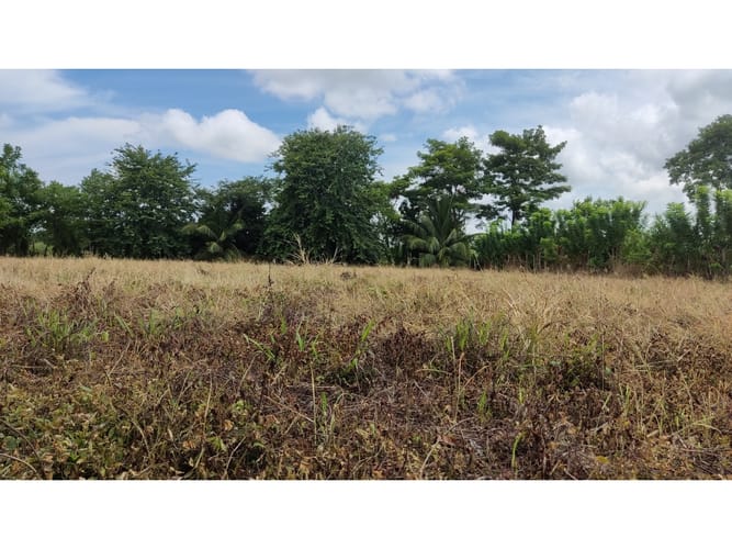 Lote en venta en Boca De La Ceiba, Montería, 5499 m² · foto 12 de 14