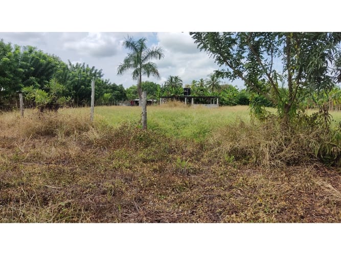 Lote en venta en Boca De La Ceiba, Montería, 5499 m² · foto 13 de 14