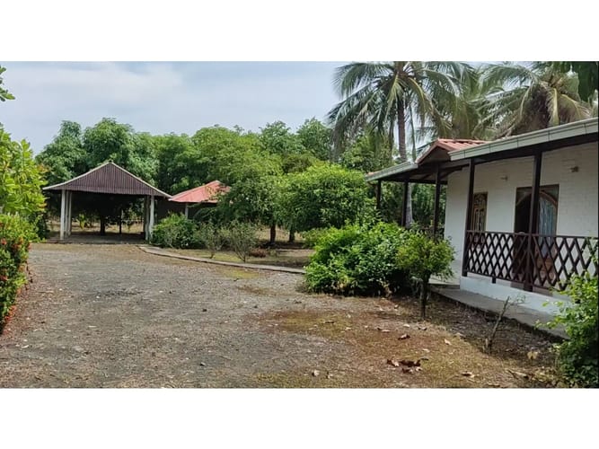 Lote en venta en Boca De La Ceiba, Montería, 9027 m² · foto 3 de 24