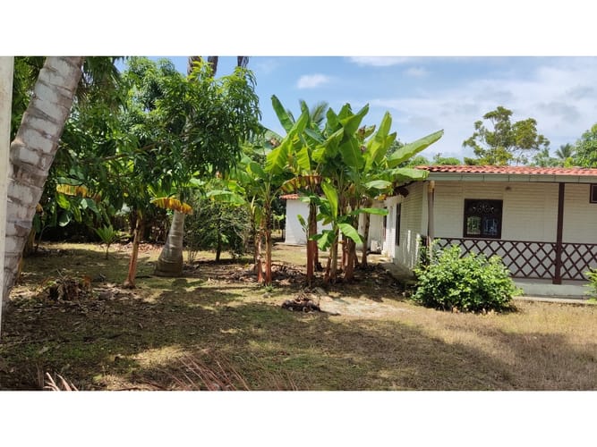 Lote en venta en Boca De La Ceiba, Montería, 9027 m² · foto 14 de 24