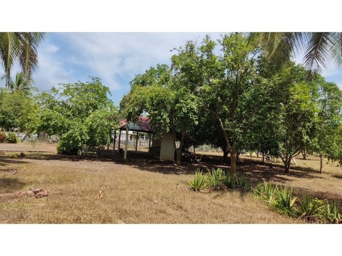 Lote en venta en Boca De La Ceiba, Montería, 9027 m² · foto 15 de 24