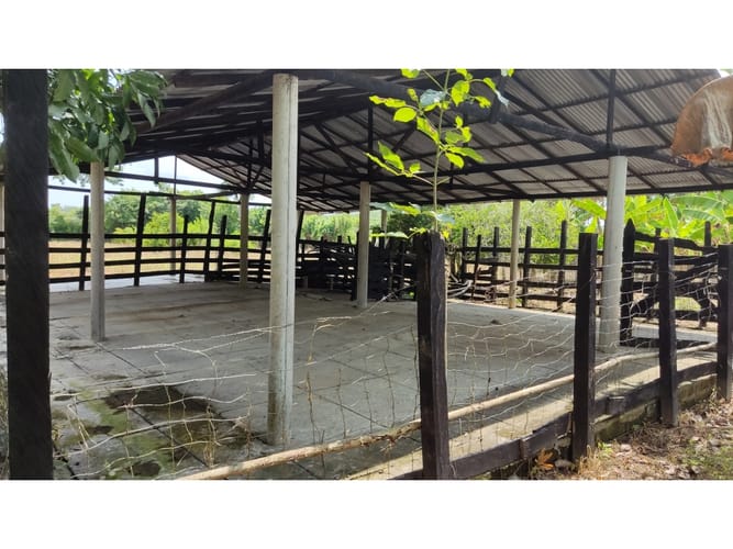 Lote en venta en Boca De La Ceiba, Montería, 9027 m² · foto 21 de 24