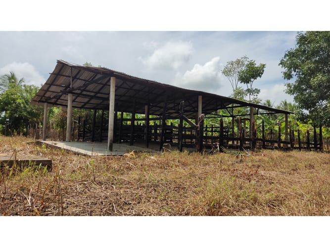 Lote en venta en Boca De La Ceiba, Montería, 9027 m² · foto 23 de 24