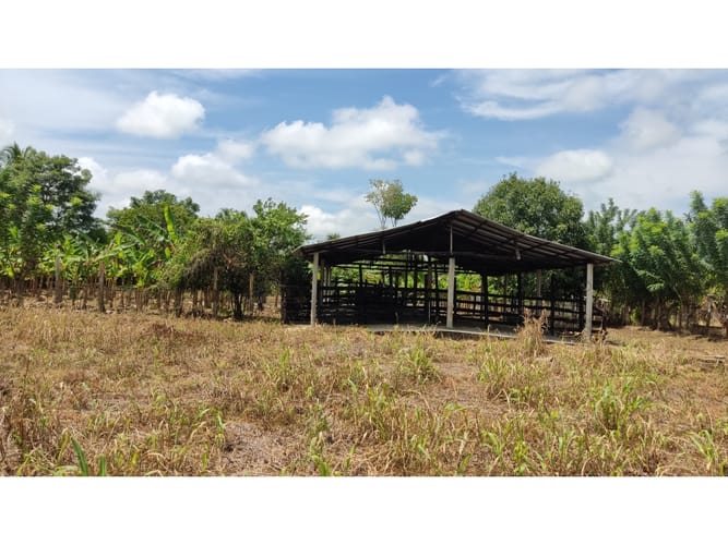 Lote en venta en Boca De La Ceiba, Montería, 9027 m² · foto 24 de 24