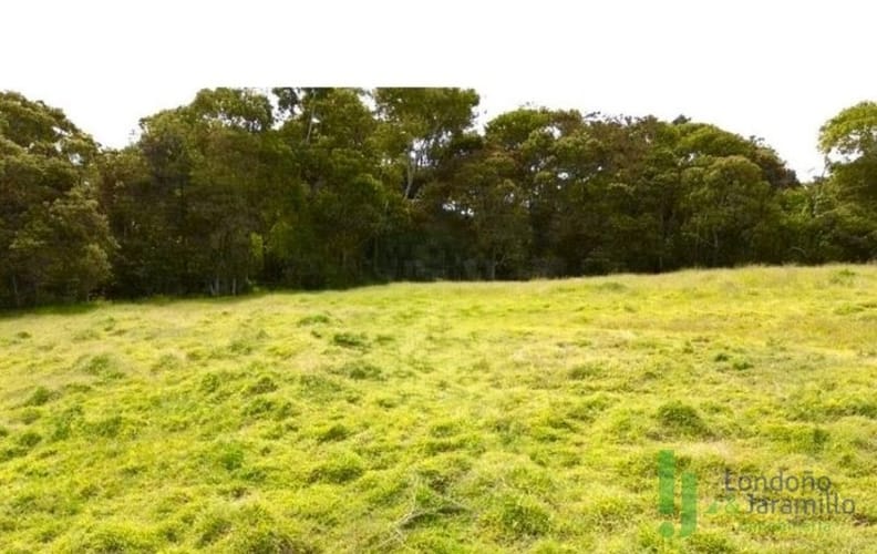 Lote en venta en San Nicolas, La Ceja, 1210 m² · foto 2 de 9