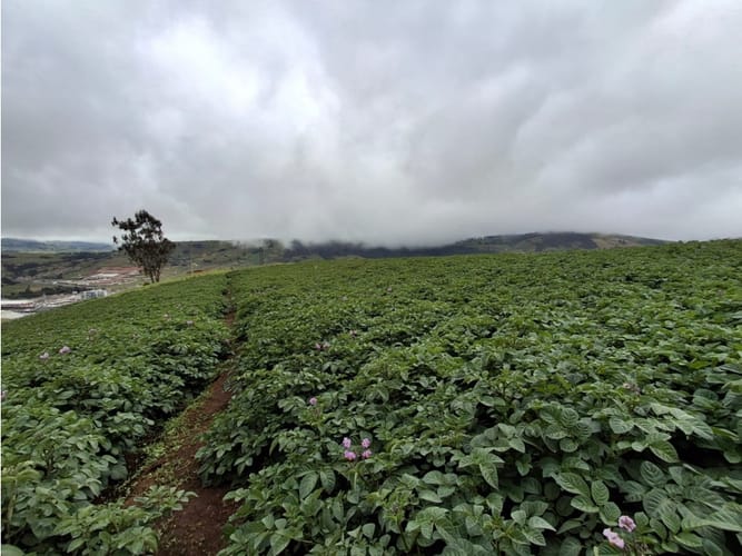 Lote en venta en Tunja, Tunja, 7771 m² · foto 2 de 21