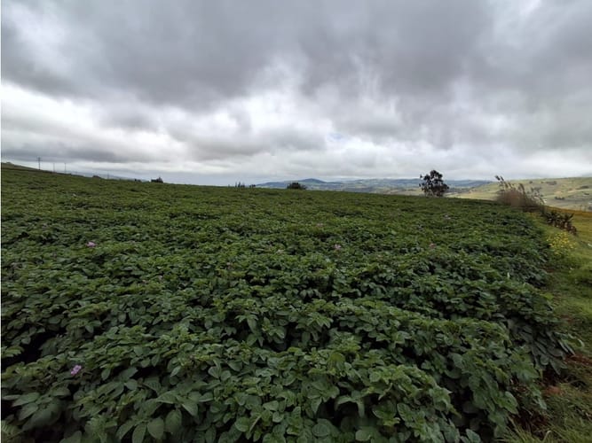 Lote en venta en Tunja, Tunja, 7771 m² · foto 3 de 21