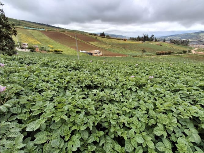 Lote en venta en Tunja, Tunja, 7771 m² · foto 4 de 21