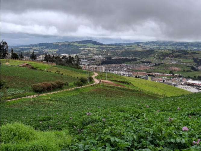 Lote en venta en Tunja, Tunja, 7771 m² · foto 6 de 21