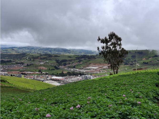 Lote en venta en Tunja, Tunja, 7771 m² · foto 7 de 21