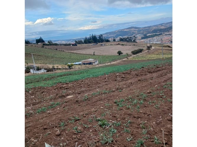 Lote en venta en Tunja, Tunja, 7771 m² · foto 8 de 21