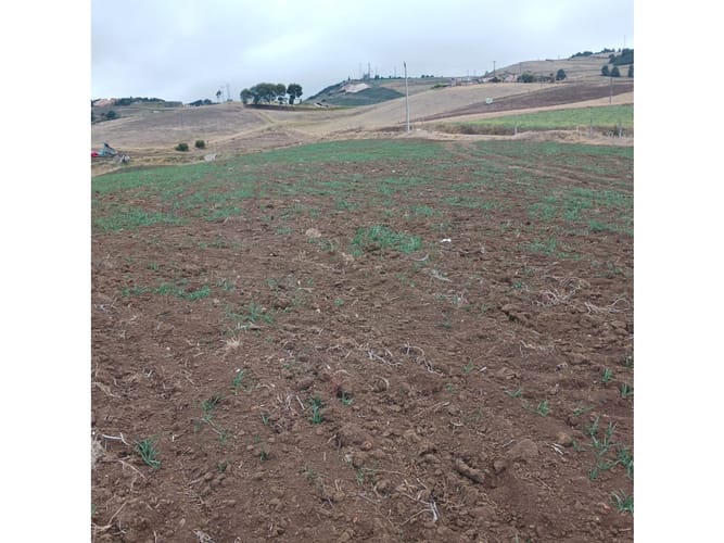 Lote en venta en Tunja, Tunja, 7771 m² · foto 13 de 21